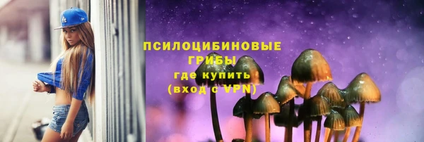 MESCALINE Коряжма