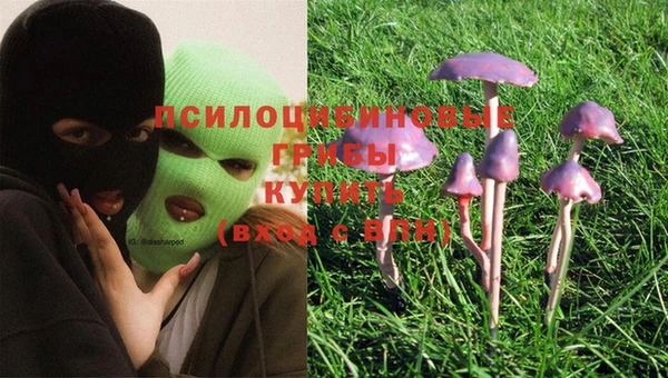 а пвп мука Корсаков