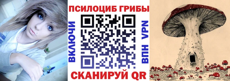 Псилоцибиновые грибы Magic Shrooms  Купить  Пыталово 